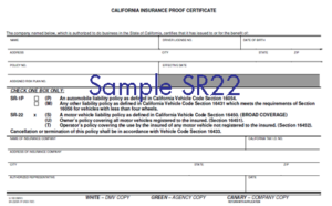sr22 coverage car insurance auto insurance sr22 no-fault insurance