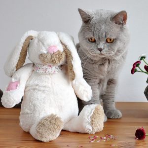 Does The Easter Bunny Need Renters Insurance?