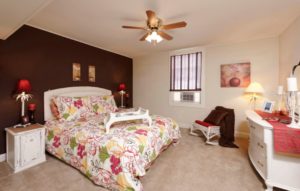Residents of Oaklee Village enjoy spacious bedrooms with accent walls.