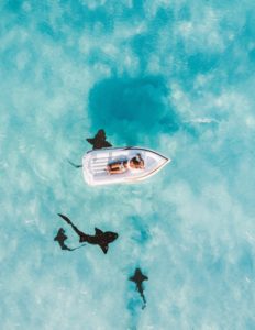 You might think ignorance is bliss, but ignoring your debt is like floating in a pool of sharks--eventually it will catch up with you and consume you.