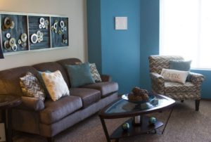 The Meadows Apartments are charming, cozy, and provide tons of natural light. 