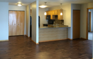 Modern apartments in Monticello, MN for residents of Monticello Village Apartments