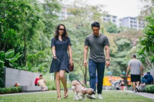 young couple in a city in a park walking dog